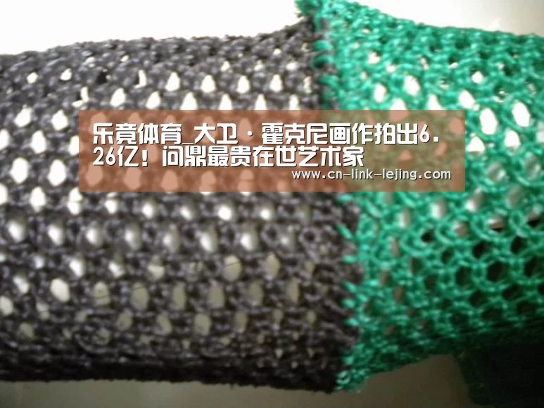 乐竟体育_大卫·霍克尼画作拍出6.26亿!问鼎最贵在世艺术家(图1) 乐竟体育